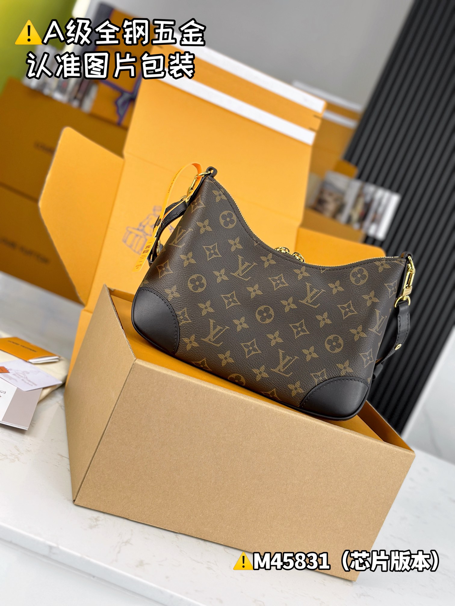 LV Hobo Bags